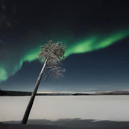 Norlight - Aurinko East Ferienhaus